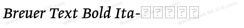 Breuer Text Bold Ita字体转换